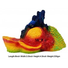 Orange Shell With Cactus Plant